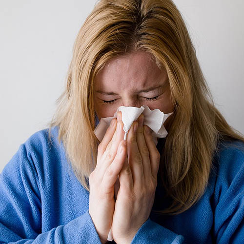 Vue interieure de la Pharmacie de l'Europe